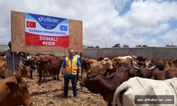 Adıyaman’dan Somali’ye Kurban Bağışı