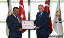Malatya'dan Cumhurbaşkanı Erdoğan'a 'Fahri Hemşerilik Beratı'