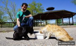 Sokak Hayvanlarına Yönelik Çalışmaları Takdir Görüyor